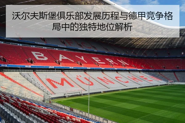 wo-er-fu-si-bao-ju-le-bu-fa-zhan-li-cheng-yu-de-jia-jing-zheng-ge-ju-zhong-de-du-te-di-wei-jie-xi-2-873.jpg