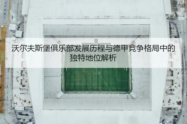 wo-er-fu-si-bao-ju-le-bu-fa-zhan-li-cheng-yu-de-jia-jing-zheng-ge-ju-zhong-de-du-te-di-wei-jie-xi-3-282.jpg