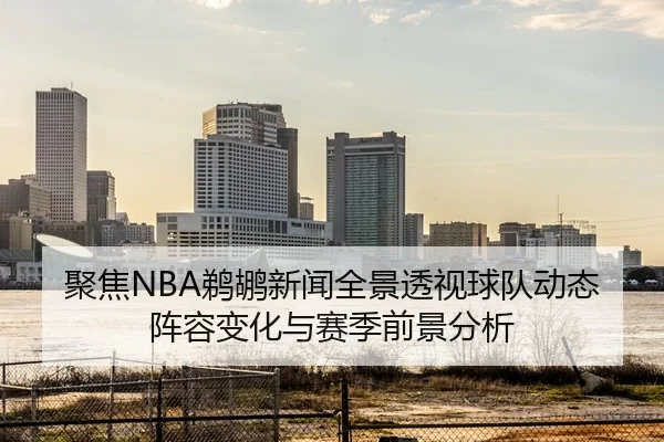 聚焦NBA鹈鹕新闻全景透视球队动态阵容变化与赛季前景分析