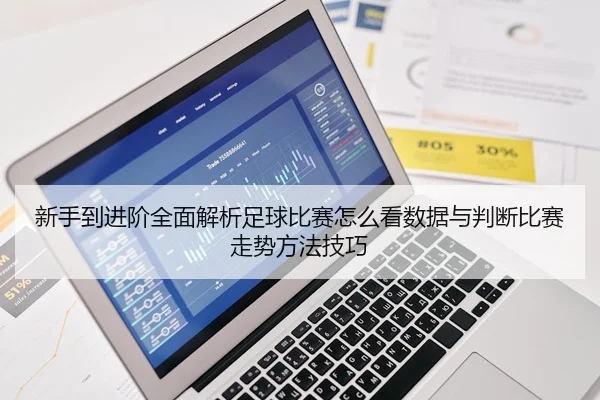 新手到进阶全面解析足球比赛怎么看数据与判断比赛走势方法技巧